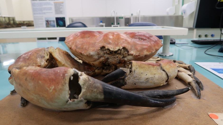 2018-08-05 14.07.33.jpg