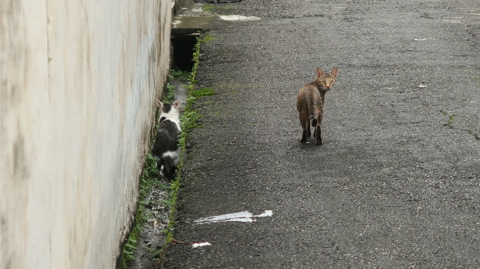 2019-09-02 18.12.36.jpg