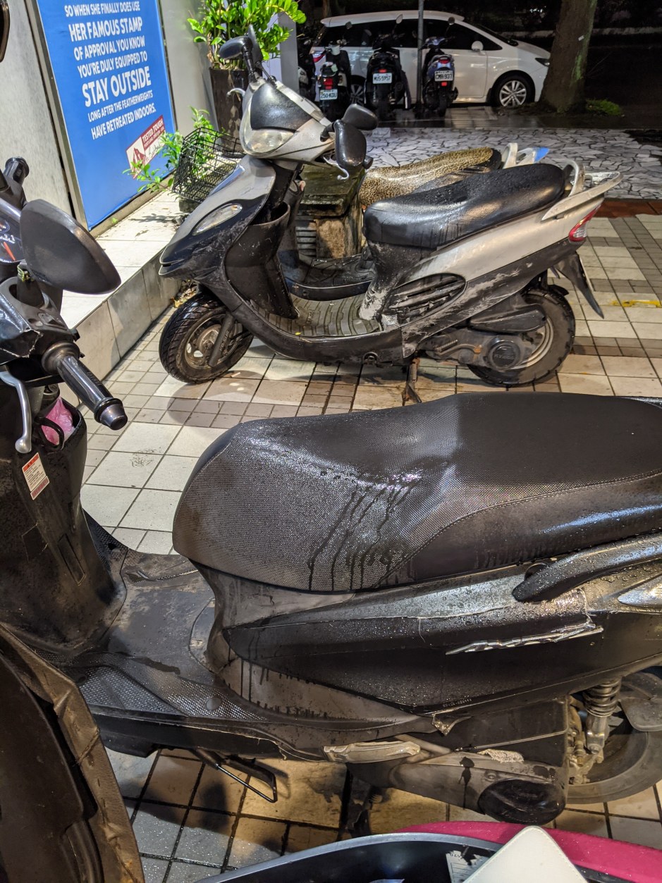 PXL_20210104_121526894